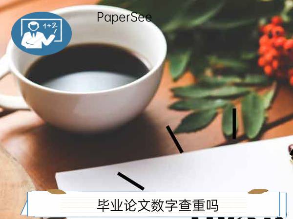 毕业论文数字查重吗