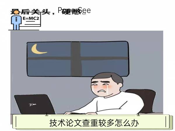 技术论文查重较多怎么办