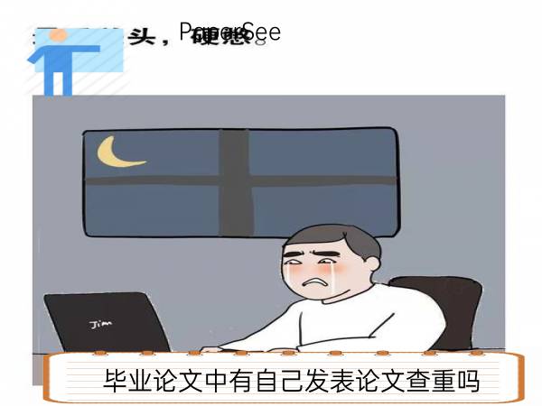 毕业论文中有自己发表论文查重吗