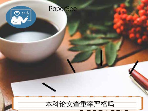 本科论文查重率严格吗