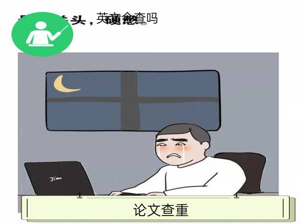 论文查重英文会查吗