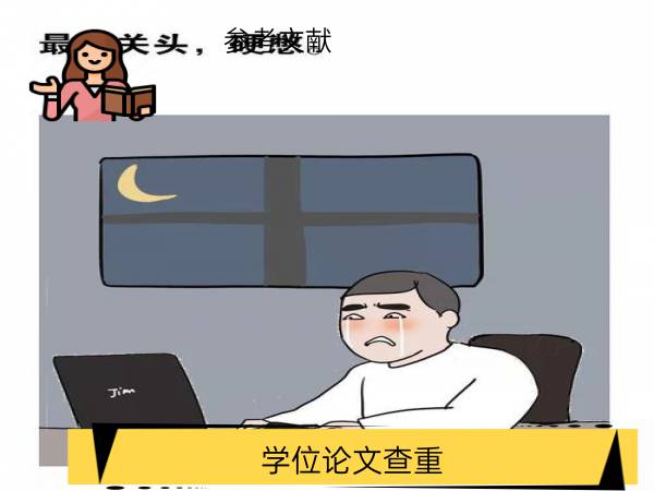 学位论文查重参考文献