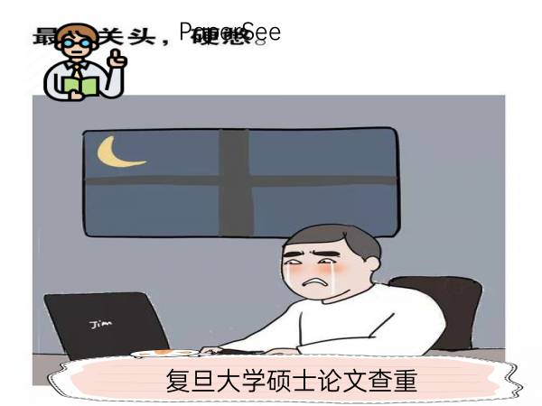 复旦大学硕士论文查重