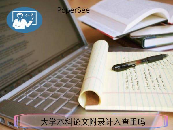 大学本科论文附录计入查重吗