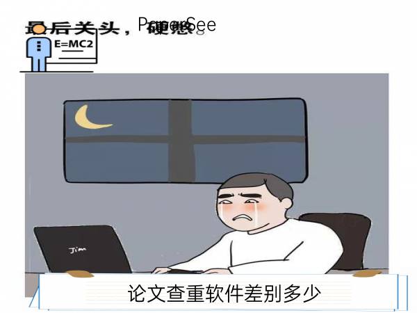 论文查重软件差别多少