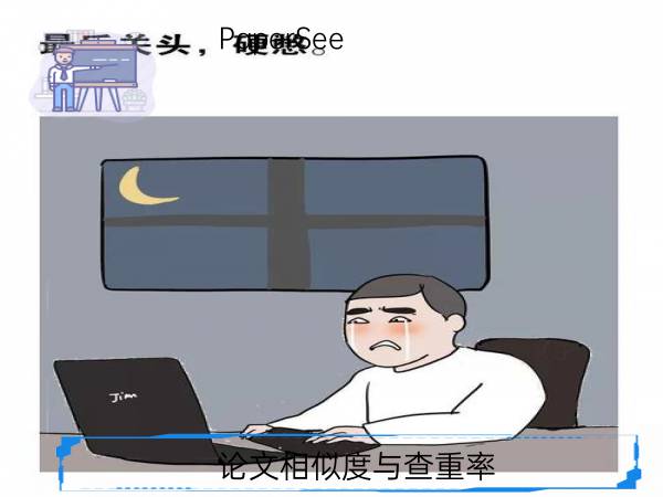 论文相似度与查重率