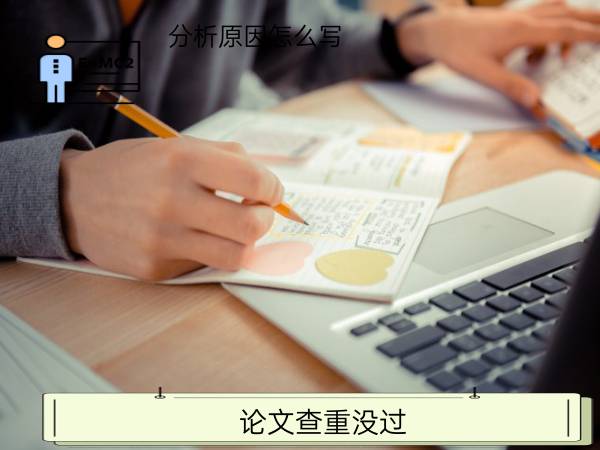 论文查重没过分析原因怎么写