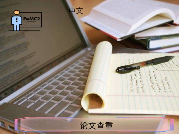 论文查重中文英文怎么说