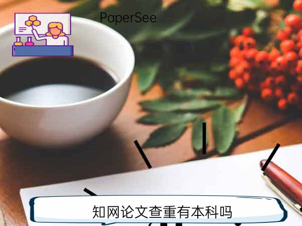 知网论文查重有本科吗