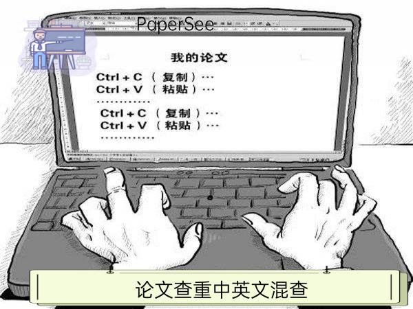 论文查重中英文混查