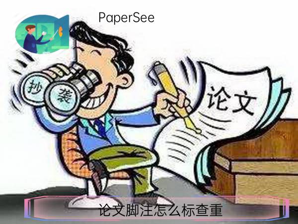 论文脚注怎么标查重