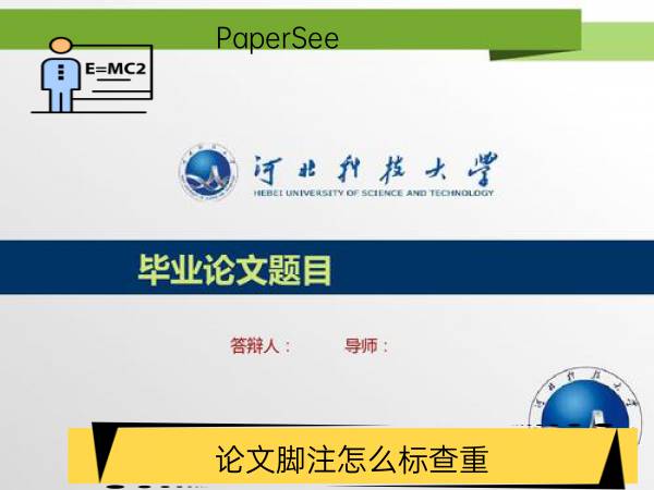 论文脚注怎么标查重