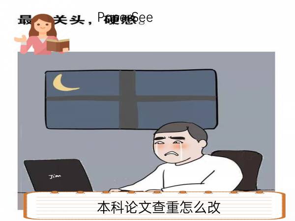 本科论文查重怎么改