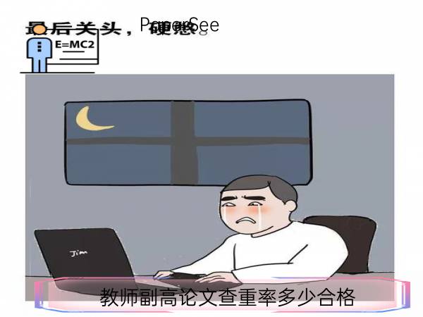 教师副高论文查重率多少合格