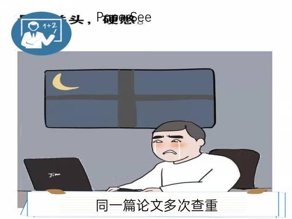 同一篇论文多次查重