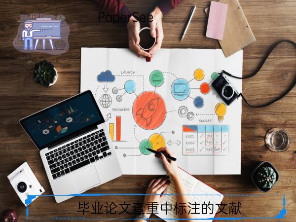 毕业论文查重中标注的文献
