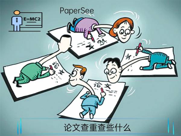 论文查重查些什么