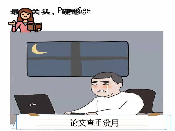 论文查重没用