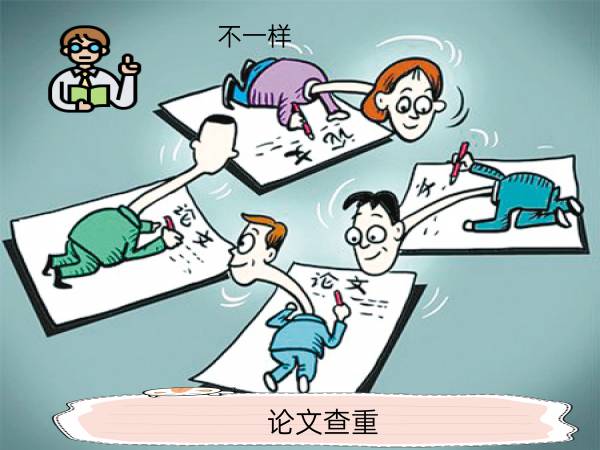论文查重不一样
