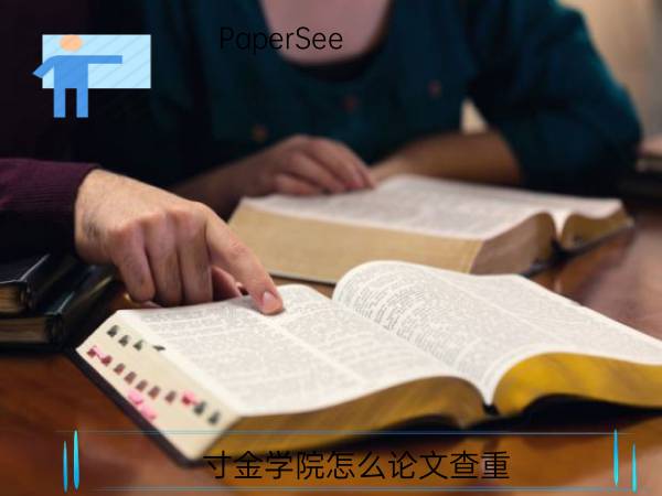 寸金学院怎么论文查重