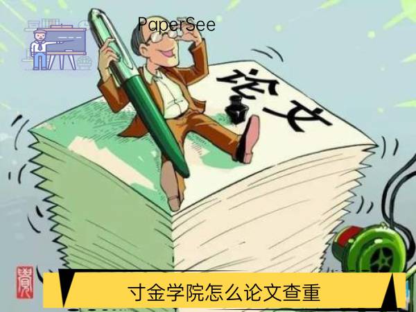 寸金学院怎么论文查重