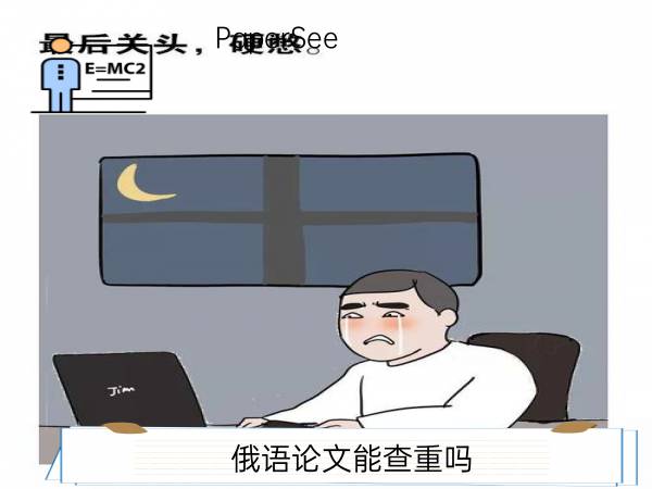 俄语论文能查重吗