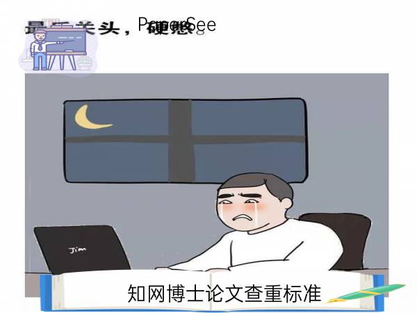 知网博士论文查重标准