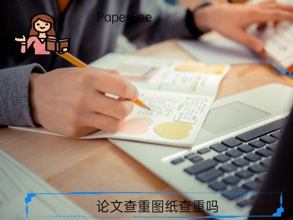 论文查重图纸查重吗