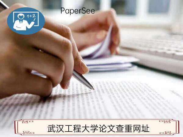武汉工程大学论文查重网址