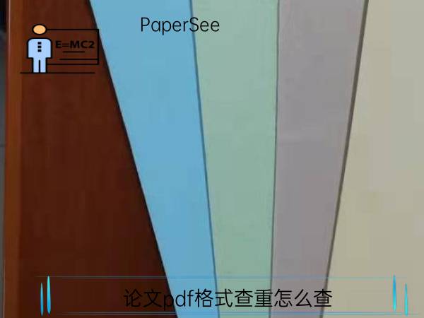 论文pdf格式查重怎么查
