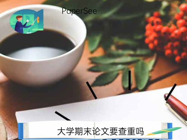 大学期末论文要查重吗