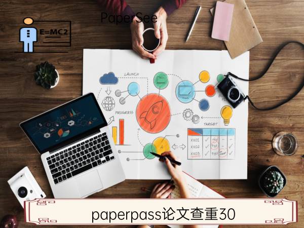 paperpass论文查重30