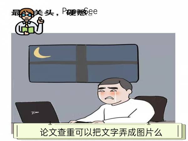 论文查重可以把文字弄成图片么