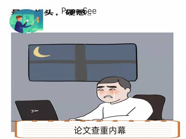 论文查重内幕