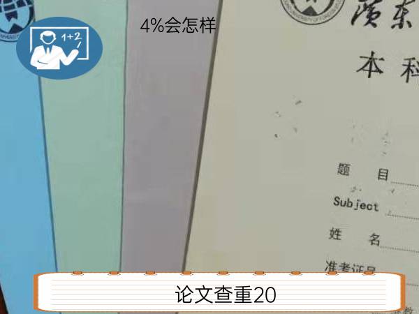 论文查重20.4%会怎样