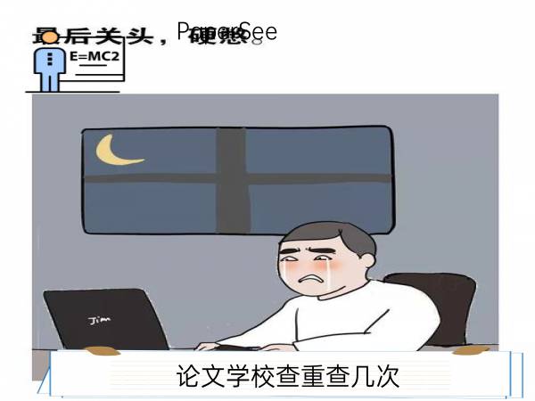 论文学校查重查几次