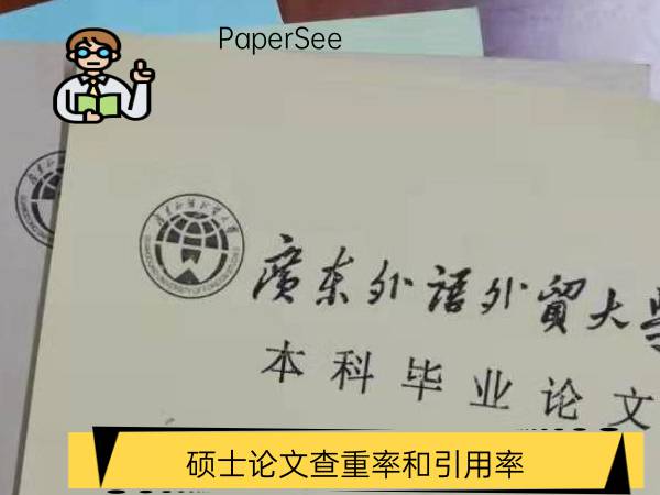 硕士论文查重率和引用率