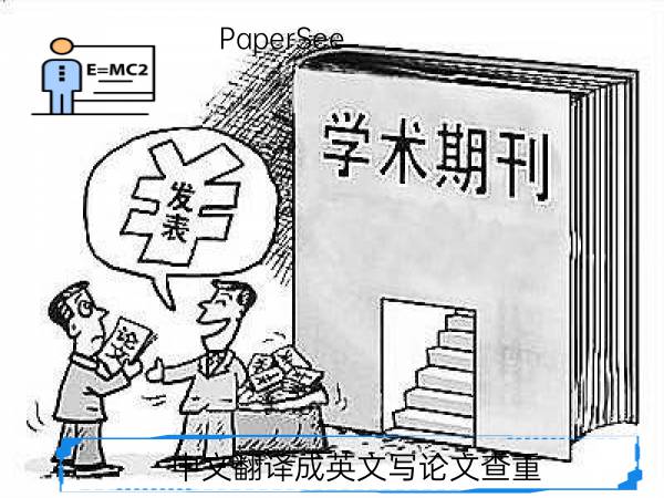 中文翻译成英文写论文查重