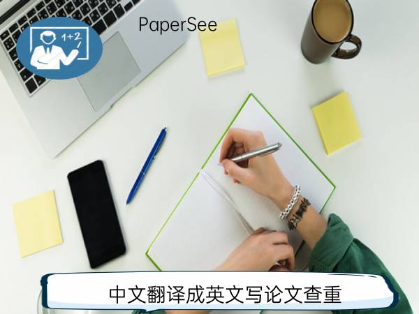 中文翻译成英文写论文查重