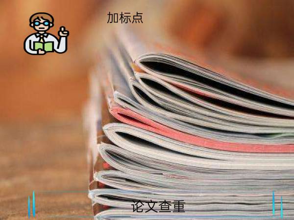 论文查重加标点