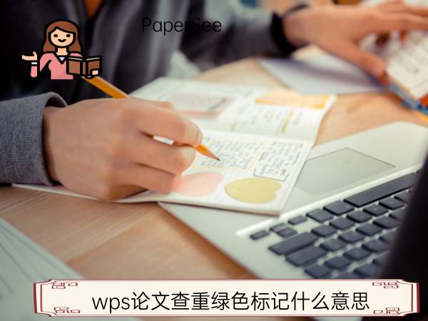 wps论文查重绿色标记什么意思