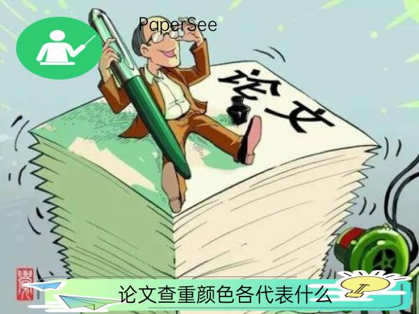 论文查重颜色各代表什么
